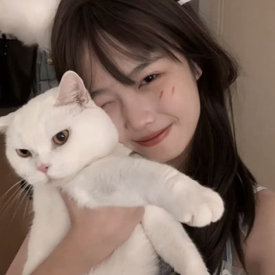 云开平台app最新版手机app下载